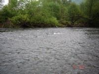 /album/river-hornad/autlen-058-jpg1/